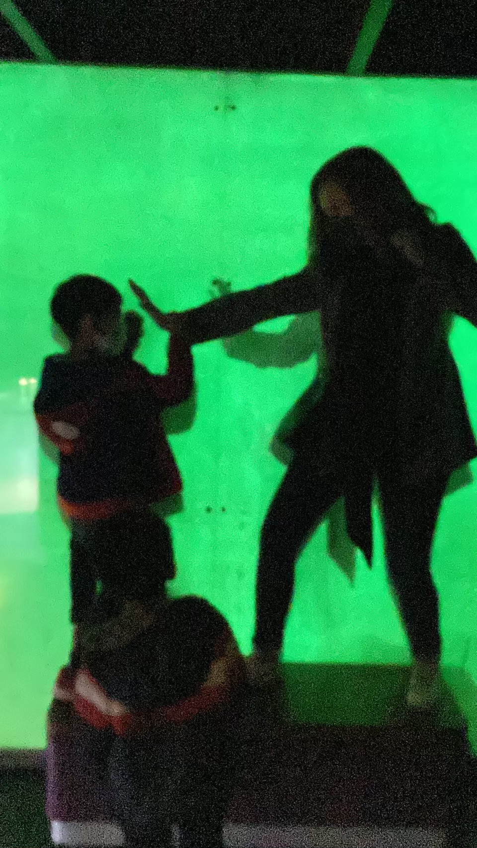 Children playing with light and shadows