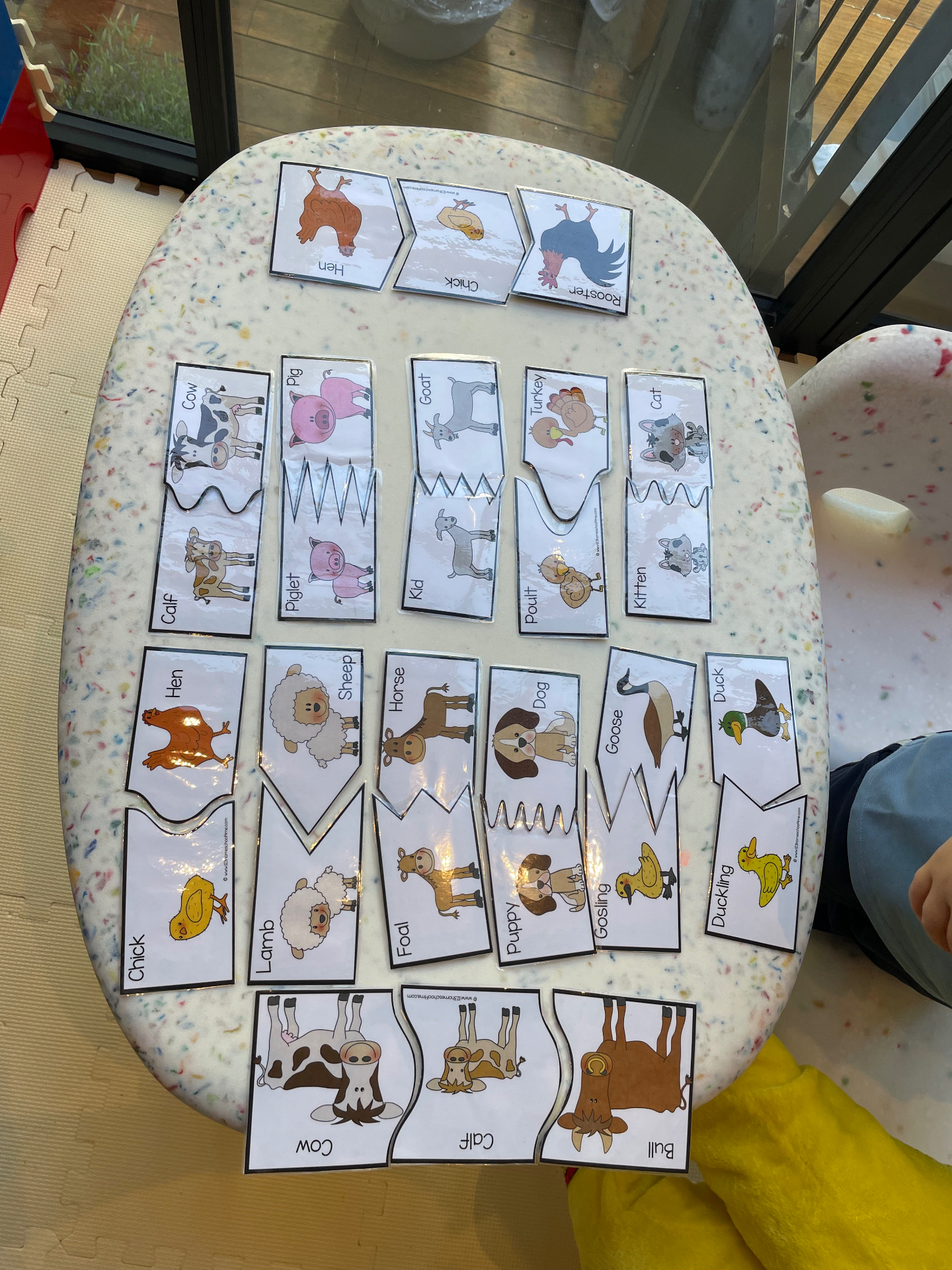 Animal puzzle cards during a lesson